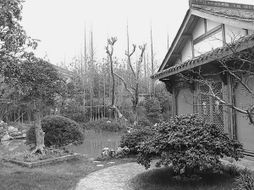 方寸苗圃，匠心筑夢 在有限空間里打造精品園林的藝術